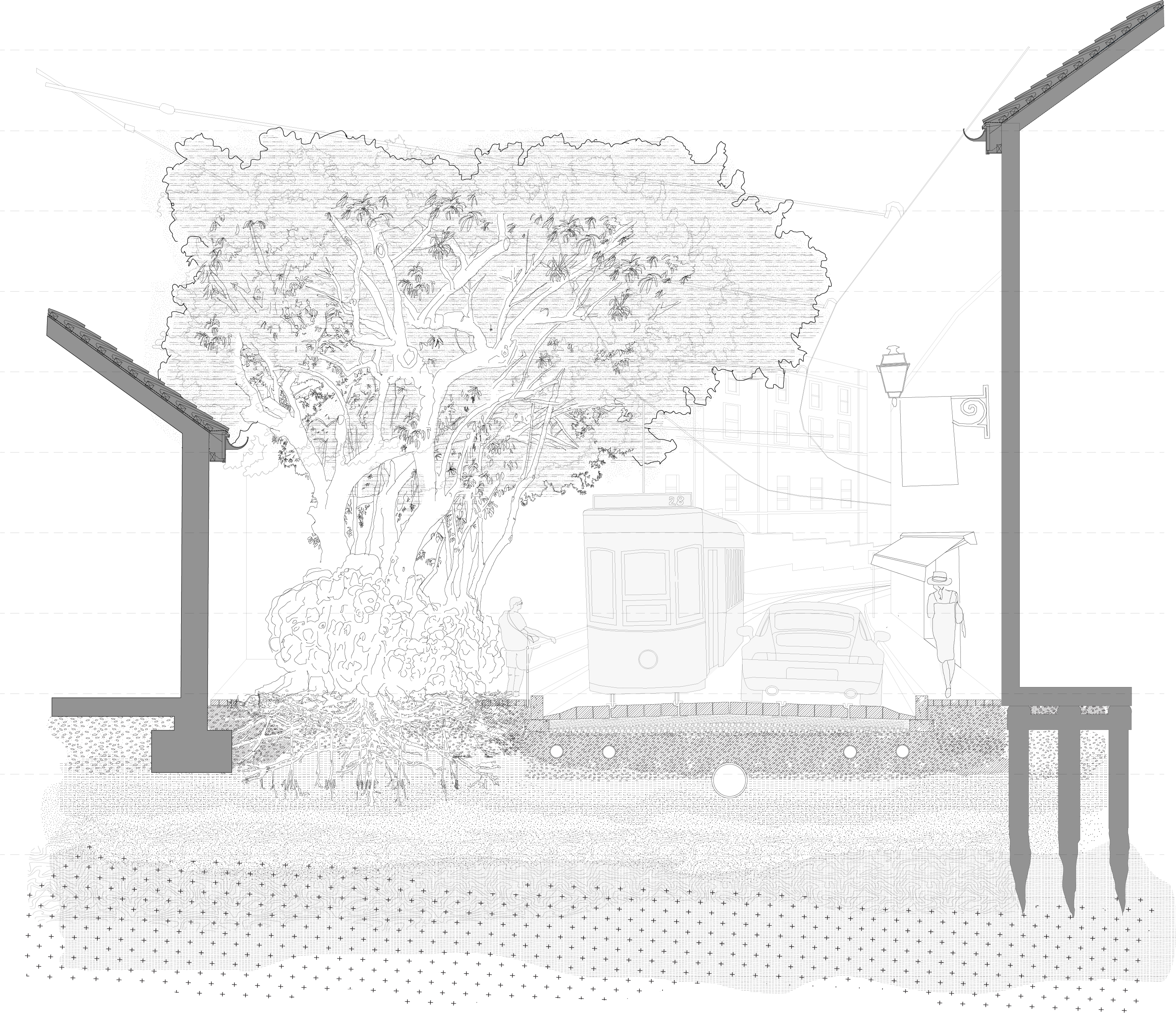 Bela Sombra architectural study