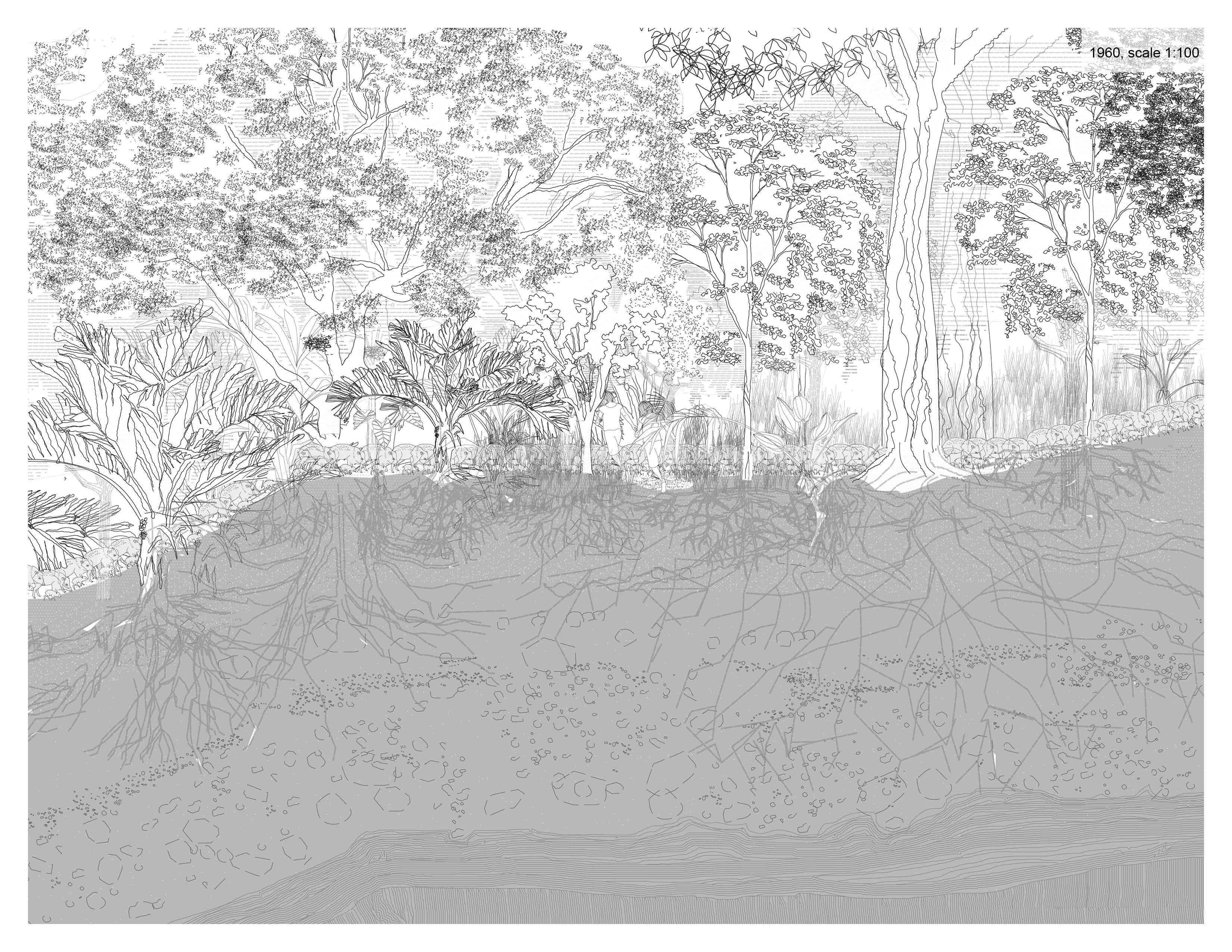 Nhe'ery illustrated landscape