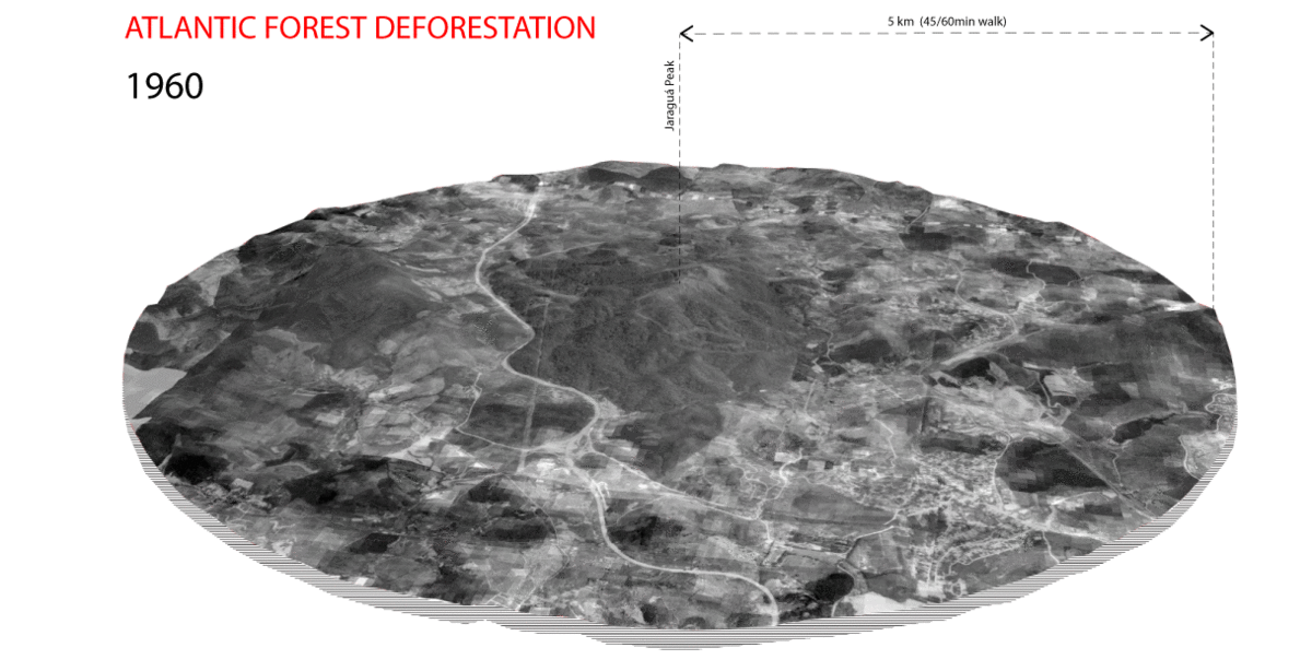 Deforestation temporal analysis
