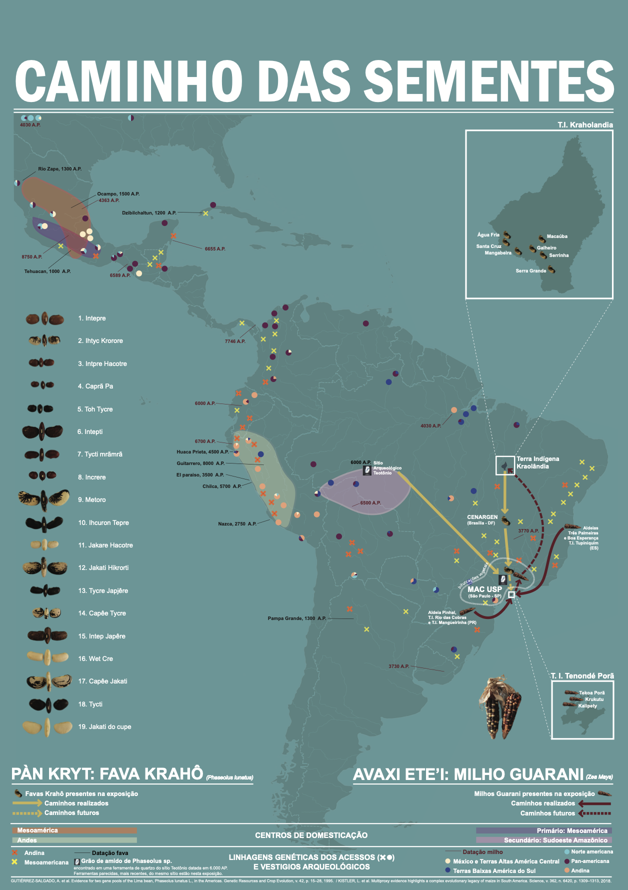 Infrastructure and environmental change